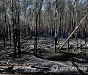 GERMANY FOREST FIRE