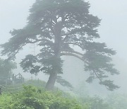 [공감, View] 저 너머에는