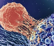 First Ever Investigational 18F-CD8 PET Radiopharmaceutical Aims to Predict and Monitor Early Response to Cancer Immunotherapies