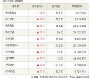 [fnRASSI]장마감, 거래소 상승 종목(동국홀딩스 30.0% ↑)