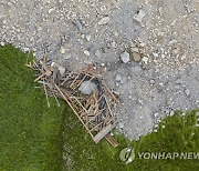 SWITZERLAND MOUNTAIN ROCKFALL