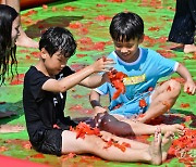 토마토 드시러 경기 광주 '퇴촌 토마토 축제' 오세요 [포토뉴스]