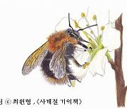 아름다운 사계절과 생명들을 기억합니다[지구용]