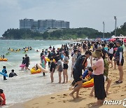 '멍비치, 서피비치' 7월 1일 개장 동해안 해수욕장 "골라가세요"