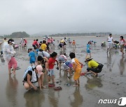 '2023 고창갯벌축제'…이달 23~25일 만돌갯벌서 열려