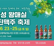 순성 왕 매실&당진 맥주 축제 개최