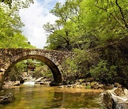 [순천24시] “세계유산 담(湛)다”…선암사·순천갯벌 축전 8월 1일 개막