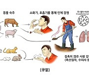 "치명률 높은 인수공통감염병 '큐열', 한국도 안전지대 아냐"