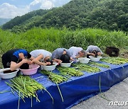 '창포물에 머리 감고 두유도 마시고' 충주 수주마을 단오제 눈길