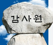 감사원, "미출생 신고 아동 23명 중 3명 사망, 1명 유기"