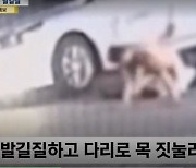 만취해 택시기사 무차별 폭행한 해군 부사관…정상 근무 중?