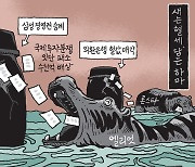 [서상균 그림창] 새는 혈세, 담는 하마