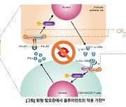 "우리아이 원형탈모 약 나올까"…릴리, 국내임상 3상 돌입