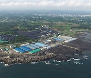 제주도 해양수산연구원, 오분자기 수정란 무상 시험 보급