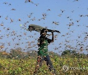 "우리는 지금 생존의 갈림길에 섰다"…툰베리가 쓴 '기후책'