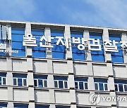 아이 공격한 개, 동물단체 인계 결정…"안락사 어려워"