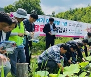 금강유역환경청, 아산에 멸종위기종 물장군 70개체 2차 방사