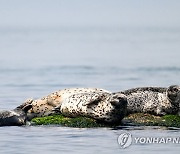 같은 곳을 바라보며