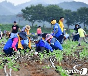 전남 귀농어귀촌 인구 3년 연속 4만명대 기록…지난해 4만454명