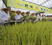 전국 첫 벼베기 실시한 이천시