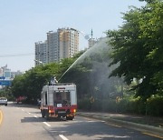 광명시, 주택가·공원 등지에 '러브버그' 발생…'즉각 방제'