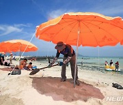 '코로나 이후 4년 만에 조기 개장하는 제주 해수욕장'