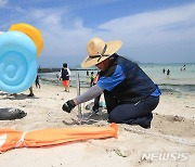 '코로나 이후 4년 만에 조기 개장하는 제주 해수욕장'