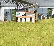 임금님표 이천쌀 전국 첫 벼베기