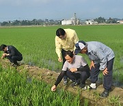 아산시, 벼잎벌레 긴급 방제단 가동…드론 13대 투입