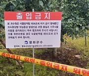 ‘과수화상병 청정지역’ 봉화도 뚫렸다