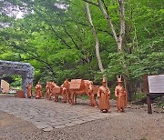 내장산서 만나는 ‘기록 문화의 소중함’…정읍시, 조선왕조실록 이안 행렬 조형물 설치