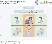 "산불은 산불로 끝나지 않았다…태아 건강에 악영향 첫 확인"