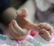 온라인상 '불법 입양' 도 넘었다…사실상 방치된 현실