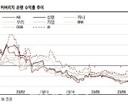 시장보다 못한 은행株, 계속 들고가야 하나