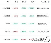 미증시 하락에도 비트코인 2% 상승, 3만1000달러 돌파(상보)