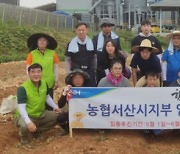 충남 서산시지부, 지곡농협·서산농업기술센터 직원 등과 농촌일손돕기 펼쳐