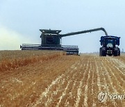 UKRAINE RUSSIA CONFLICT HARVEST