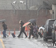 장맛비 내리는 제주