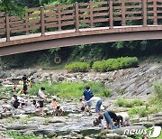 "에어컨에 '아아' 한 잔이면 천국" 주말 전북 도심근교 나들이객 줄이어