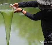 부산시, 녹조 증가에 안전한 수돗물 공급 총력 대응