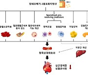 오메가3 보충, 심근경색과 심혈관 사망 위험 낮춰