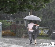 장맛비에 전남 10항로 15척 운항 통제…국립공원 입산도 막혀