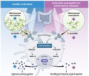 장내 미생물, 면역 항상성 촉진 원리 밝혔다