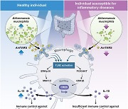 장속 미생물이 염증질환 면역을 유지시킨다