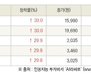 [fnRASSI]오늘의 상한가, 동운아나텍 30.0% ↑