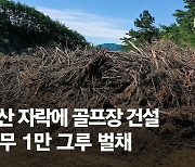 지리산 정상부에 골프장 추진… 축구장 29개 소나무 잘렸다