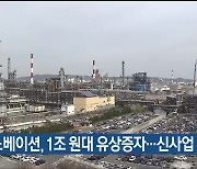 SK이노베이션, 1조 원대 유상증자…신사업 투자