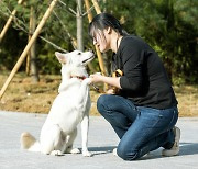 인천 반려동물 키우기 좋은 도시 우뚝… 테마파크 기본구상 및 타당성조사 용역