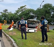 경주 보문단지 커브길서 이틀 연속 사고…20대 2명 사망