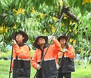 장마 대비 철저하게